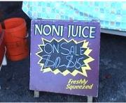 Buy noni juice here