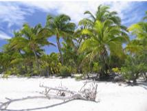 Deserted motu