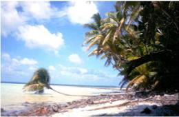 Unspoiled Manihiki by day