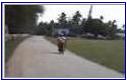 Mangaia video guide